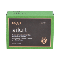 Goah Clinic Siluit 60caps